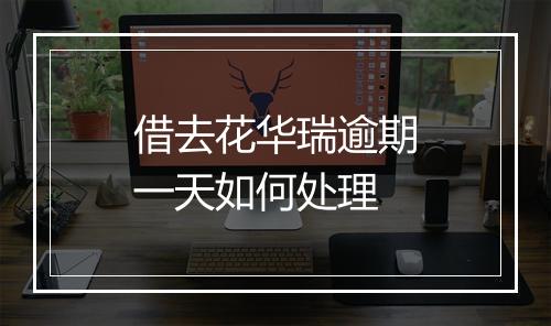借去花华瑞逾期一天如何处理