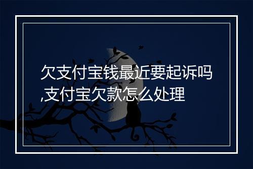 欠支付宝钱最近要起诉吗,支付宝欠款怎么处理