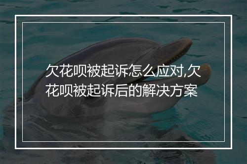 欠花呗被起诉怎么应对,欠花呗被起诉后的解决方案