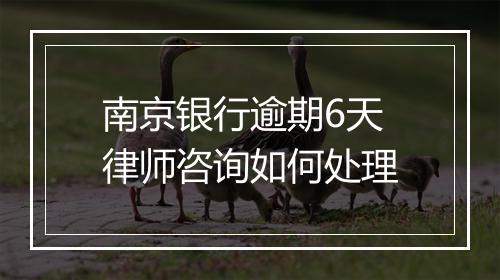 南京银行逾期6天律师咨询如何处理