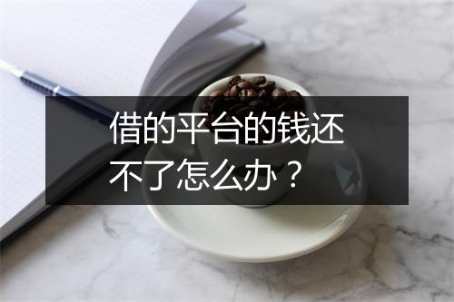 借的平台的钱还不了怎么办？