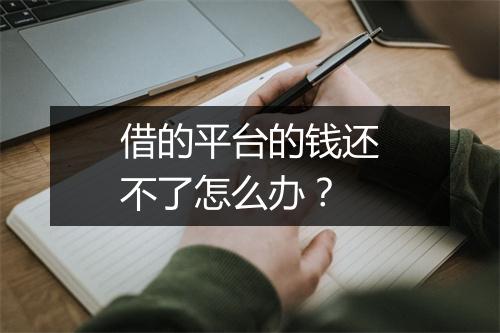 借的平台的钱还不了怎么办？