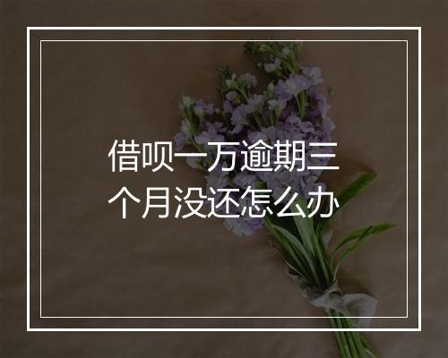 借呗一万逾期三个月没还怎么办