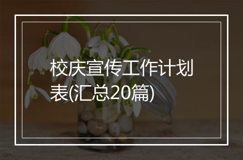 校庆宣传工作计划表(汇总20篇)
