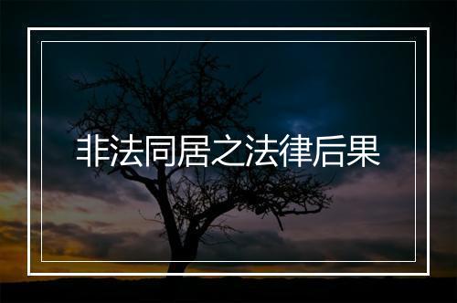 非法同居之法律后果