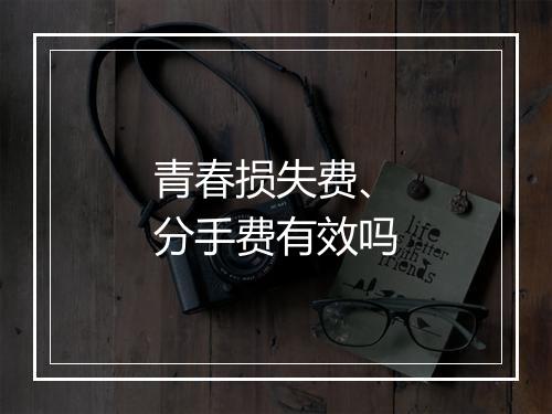 青春损失费、分手费有效吗