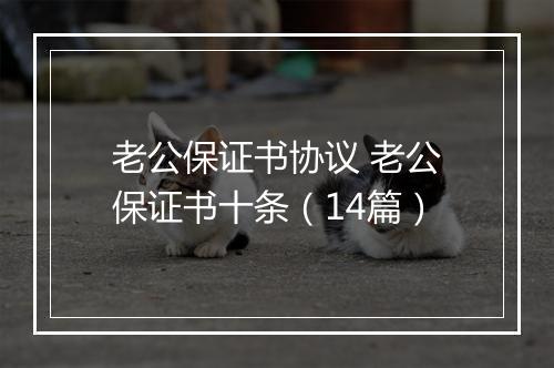 老公保证书协议 老公保证书十条（14篇）