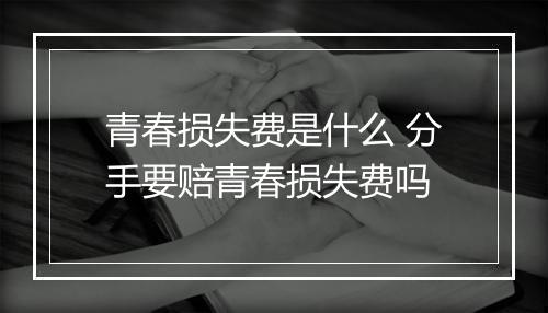 青春损失费是什么 分手要赔青春损失费吗