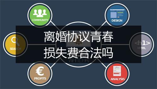离婚协议青春损失费合法吗