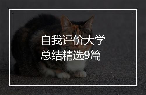 自我评价大学总结精选9篇