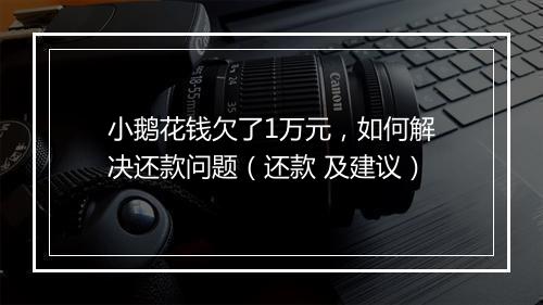 小鹅花钱欠了1万元，如何解决还款问题（还款 及建议）