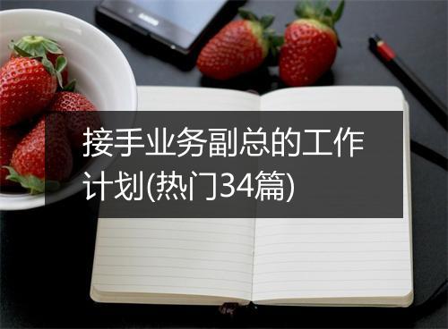 接手业务副总的工作计划(热门34篇)