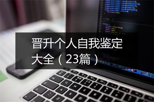 晋升个人自我鉴定大全（23篇）