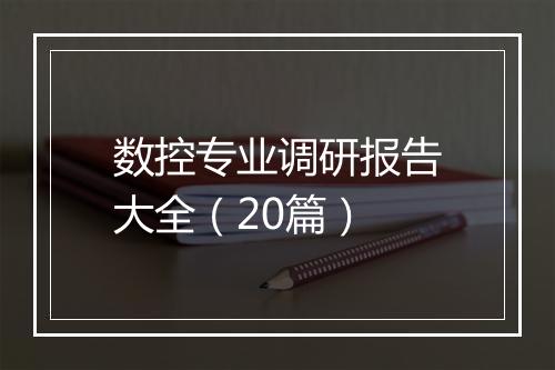 数控专业调研报告大全（20篇）