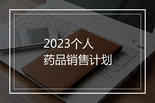 2023个人药品销售计划