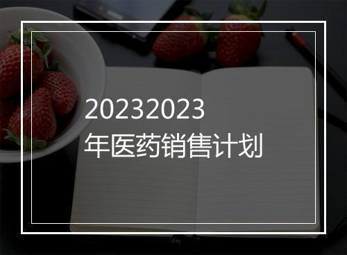 20232023年医药销售计划