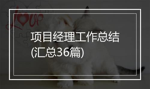 项目经理工作总结(汇总36篇)