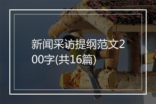 新闻采访提纲范文200字(共16篇)