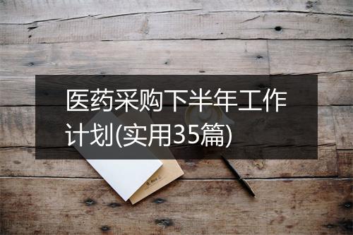 医药采购下半年工作计划(实用35篇)
