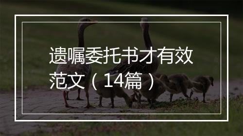 遗嘱委托书才有效范文（14篇）
