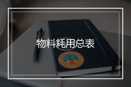 物料耗用总表