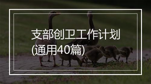 支部创卫工作计划(通用40篇)