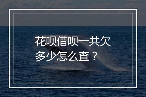 花呗借呗一共欠多少怎么查？