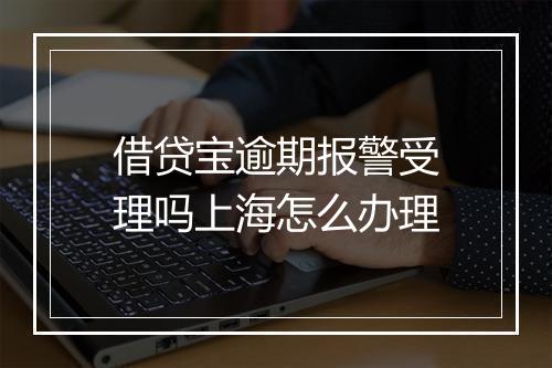 借贷宝逾期报警受理吗上海怎么办理