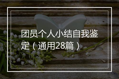 团员个人小结自我鉴定（通用28篇）
