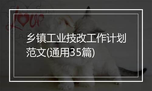 乡镇工业技改工作计划范文(通用35篇)