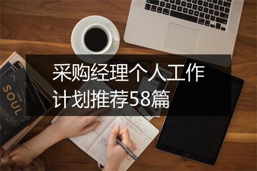 采购经理个人工作计划推荐58篇