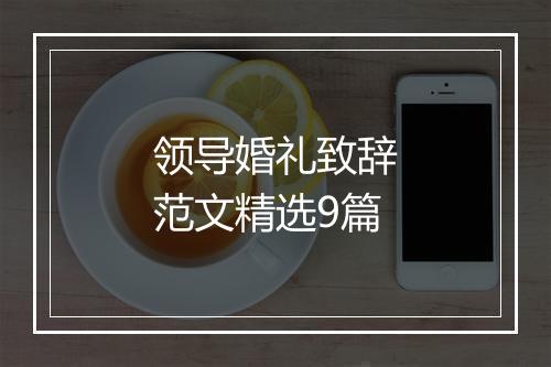 领导婚礼致辞范文精选9篇