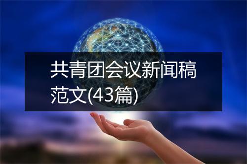 共青团会议新闻稿范文(43篇)