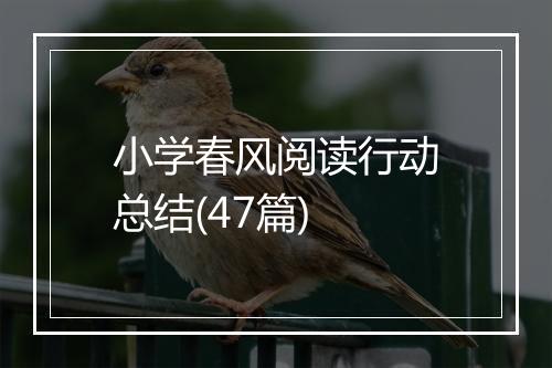 小学春风阅读行动总结(47篇)