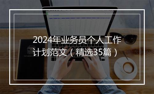 2024年业务员个人工作计划范文（精选35篇）