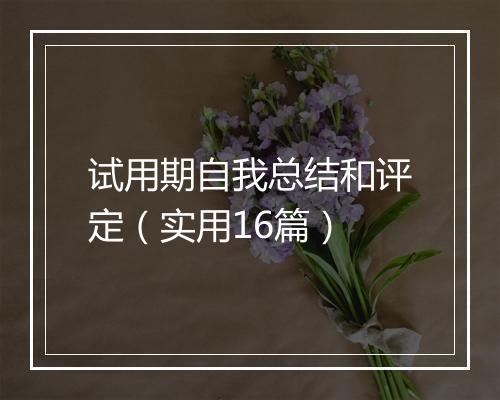 试用期自我总结和评定（实用16篇）