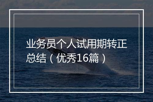 业务员个人试用期转正总结（优秀16篇）