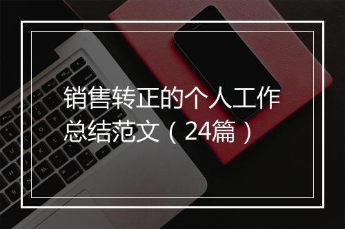 销售转正的个人工作总结范文（24篇）