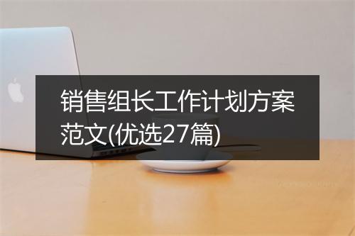 销售组长工作计划方案范文(优选27篇)