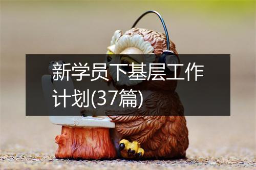 新学员下基层工作计划(37篇)