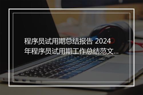 程序员试用期总结报告 2024年程序员试用期工作总结范文精选8篇
