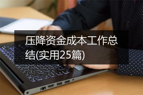 压降资金成本工作总结(实用25篇)