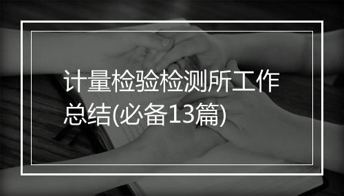 计量检验检测所工作总结(必备13篇)