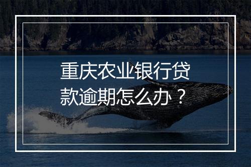 重庆农业银行贷款逾期怎么办？