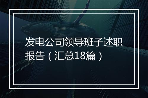 发电公司领导班子述职报告（汇总18篇）