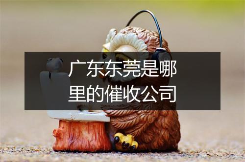 广东东莞是哪里的催收公司