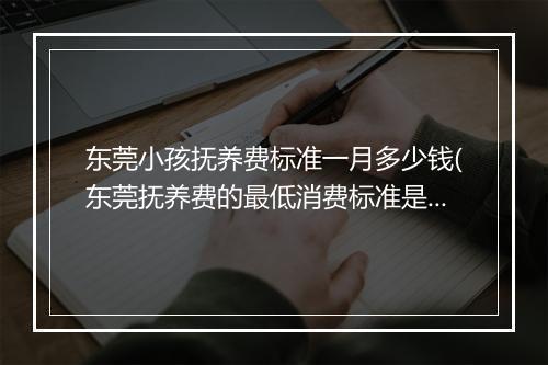 东莞小孩抚养费标准一月多少钱(东莞抚养费的最低消费标准是多少)