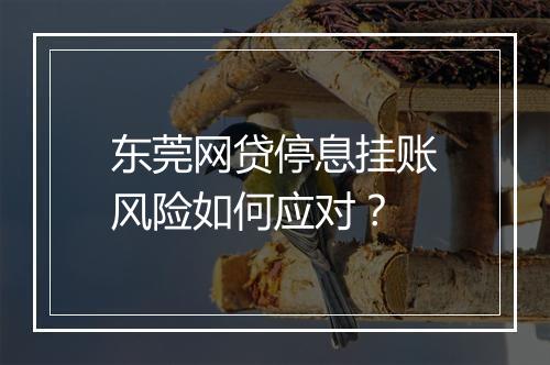 东莞网贷停息挂账风险如何应对？