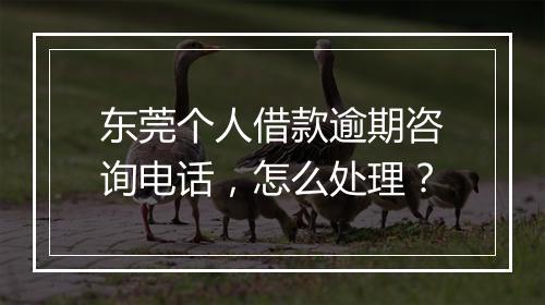 东莞个人借款逾期咨询电话，怎么处理？
