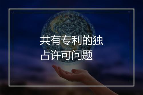 共有专利的独占许可问题